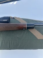 IMG_5160.jpeg