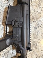 IMG_3403.jpeg