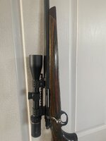 IMG_8120.jpeg