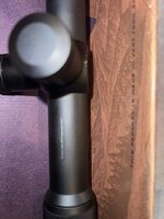 IMG_4470.jpeg