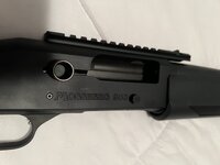IMG_3680.jpeg