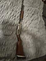 IMG_4342.jpeg