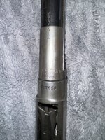 IMG_4345.jpeg