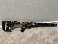 IMG_3804.jpeg