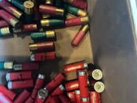 IMG_0019.jpeg