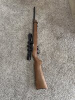 IMG_0367.jpeg
