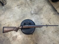 IMG_7896.jpeg