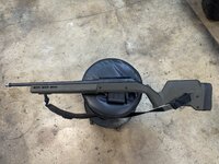 IMG_7899.jpeg