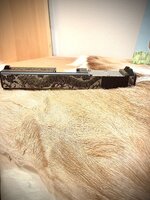 IMG_2512.jpeg