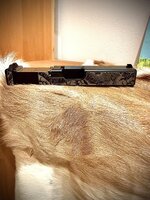 IMG_2510.jpeg