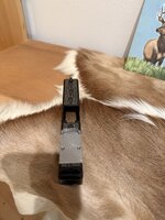 IMG_2511.jpeg