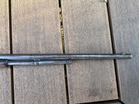IMG_0349.jpeg