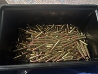 IMG_5772.jpeg
