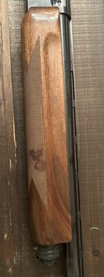 IMG_7845.jpeg