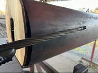 IMG_3205.jpeg