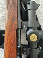 IMG_7524.jpeg