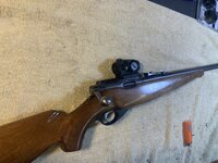 IMG_4110.jpeg