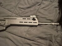 IMG_1048.jpeg