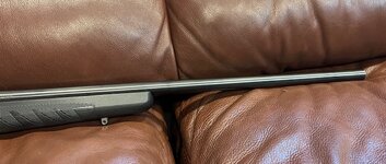 IMG_3880.jpeg