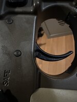 IMG_7713.jpeg