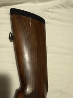 IMG_7556.jpeg