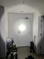 IMG_2555.jpeg