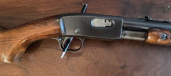 IMG_2855.jpeg
