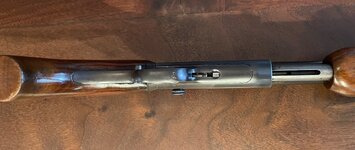 IMG_2859.jpeg