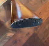 IMG_2872.jpeg