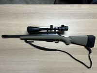 IMG_0040.JPEG