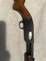 IMG_9710.jpeg