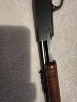 IMG_9715.jpeg