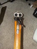 IMG_5397.jpeg