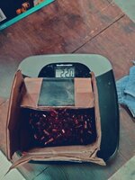 ammo5.jpg