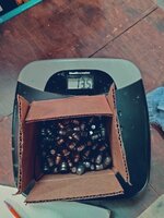 ammo3.jpg