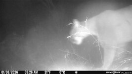 IMG_0765.jpeg