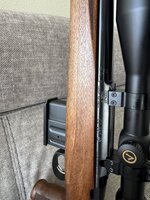 IMG_7559.jpeg