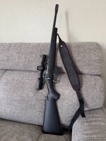 IMG_7561.jpeg