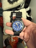 IMG_3318.jpeg