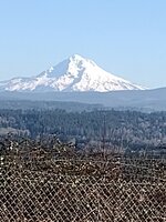 IMG_20260124_122253420.jpg