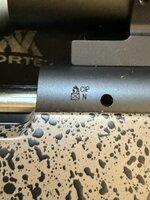 IMG_4499.jpeg