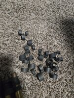 1000011298.jpg