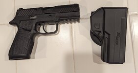 sig_holster_wilson_grip.jpg