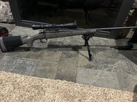 IMG_4908.jpeg
