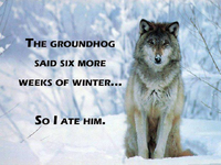 38520075-ccdb-4f16-957f-72a55b1220de.png
