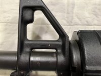 IMG_6895.jpeg
