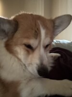 IMG_1287.jpeg