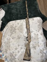 IMG_0858.jpeg