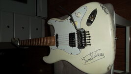 SAM_6045.JPG
