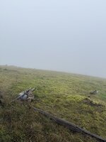 IMG_0459.jpeg